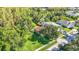 Aerial view of a house with a pool nestled among lush trees and greenery at 10323 Birdwatch Dr, Tampa, FL 33647