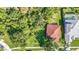An aerial view of a home with a well-manicured lawn and is surrounded by trees at 10323 Birdwatch Dr, Tampa, FL 33647