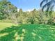 Lush, green backyard filled with mature trees, offering a private and picturesque outdoor retreat at 10323 Birdwatch Dr, Tampa, FL 33647