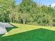 Expansive backyard showcasing the green lawn, mature trees, and ample space for outdoor activities at 10323 Birdwatch Dr, Tampa, FL 33647