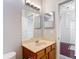 Bathroom features a single sink vanity with a mirror and wood cabinets at 10323 Birdwatch Dr, Tampa, FL 33647