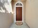 Inviting front entrance featuring a classic wooden door with an arched transom window at 10323 Birdwatch Dr, Tampa, FL 33647