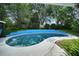 Blue swimming pool surrounded by grass, landscaping, and patio at 1305 Willow Valley Dr, Brandon, FL 33510
