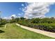 Lush green backyard featuring a pathway leading through the landscape, adding to the property's charm at 163 Brent Cir, Oldsmar, FL 34677