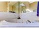 Bathroom with a corner jetted tub, tile surround, and large vanity mirror at 163 Brent Cir, Oldsmar, FL 34677