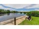 Waterfront view showcasing a peaceful setting with a bench overlooking the serene waterway at 163 Brent Cir, Oldsmar, FL 34677