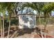 View of the backyard shed framed by palm trees, offering additional storage at 1949 Kings Hwy, Clearwater, FL 33755