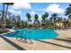 Community pool with palm trees and a lounge area at 3241 Evening Breeze Loop, Wesley Chapel, FL 33544