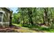 Spacious backyard with a wooded area offering privacy at 3493 Kings Rd # 106, Palm Harbor, FL 34685