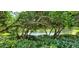 Scenic view of the lake with a surrounding landscape at 3493 Kings Rd # 106, Palm Harbor, FL 34685