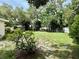 Expansive backyard featuring lush green grass, mature trees and privacy fence at 3575 Lake Highland Dr, Palm Harbor, FL 34683