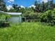 A neglected backyard with overgrown grass, offering potential for landscaping and outdoor enjoyment at 8109 Franklin Rd, Plant City, FL 33565
