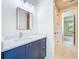 Bathroom featuring a blue vanity with white countertop and modern fixtures at 1015 W Charter St, Tampa, FL 33602