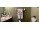 Bathroom vanity with floral towels hanging next to a toilet at 10621 Scenic Hollow Dr, Riverview, FL 33578