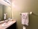 Bathroom sink and countertop with floral towel and green wall at 10621 Scenic Hollow Dr, Riverview, FL 33578