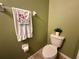 Floral towel hanging next to a toilet with a green wall at 10621 Scenic Hollow Dr, Riverview, FL 33578