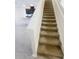 Carpeted staircase with white risers connecting floors, blending comfort with classic design at 11634 Woodleaf Dr, Bradenton, FL 34211