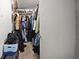 Open walk-in closet featuring organized storage and ample hanging space at 1310 Rustlewood Dr, Brandon, FL 33510