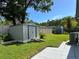 Spacious backyard with a shed and plenty of green space for outdoor activities and storage solutions at 15101 Bald Eagle St, Tampa, FL 33625