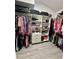 Spacious walk-in closet with organized storage solutions at 15101 Bald Eagle St, Tampa, FL 33625