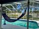Relaxing hammock hangs poolside in this inviting screened-in pool area with clear blue water at 15101 Bald Eagle St, Tampa, FL 33625