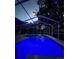 Enjoy swimming in this gorgeous pool with a screened enclosure, lit with vibrant blue lights for evening enjoyment at 15101 Bald Eagle St, Tampa, FL 33625