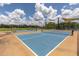 Well maintained community pickleball courts with shade structures and beautiful landscaping at 16972 Oval Rum Dr, Wimauma, FL 33598