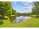 Scenic pond surrounded by lush greenery, offering a serene and tranquil environment at 17880 Althea Blue Pl, Lutz, FL 33558