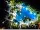 Aerial view of an outdoor pool with several sections, surrounded by green landscaping and seating at 201 Bedford St # 79, Sun City Center, FL 33573