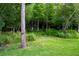 Backyard with tree line and green grass and some foliage at 25435 Bruford Blvd, Land O Lakes, FL 34639