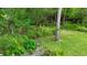 Well-maintained yard with natural areas, tall trees, and tropical plants at 25435 Bruford Blvd, Land O Lakes, FL 34639