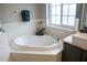 Bathroom boasting a garden tub beneath a large window, vanity, and elegant finishes at 25435 Bruford Blvd, Land O Lakes, FL 34639