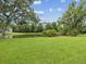 Lush green backyard with a serene pond surrounded by mature trees and native plants at 422 Cypress View Dr, Oldsmar, FL 34677