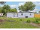 Expansive backyard showcasing healthy grass and tree coverage at 4434 Perch St, Tampa, FL 33617