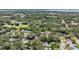 Aerial view of the neighborhood with mature trees and glimpses of houses below the canopy at 6 Harbor Cove St, Safety Harbor, FL 34695
