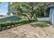 Lush backyard featuring a planting bed and partial view of a white fence at 6 Harbor Cove St, Safety Harbor, FL 34695