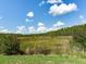 Picturesque marsh landscape provides a natural backdrop to the community at 6057 Marsh Trail Dr, Odessa, FL 33556