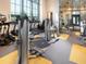 Spacious workout room filled with treadmills, elliptical machines, and other fitness equipment at 6057 Marsh Trail Dr, Odessa, FL 33556