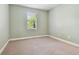A bedroom with neutral colored carpet and pale green walls at 11317 Wickersley Pl, Tampa, FL 33625