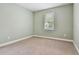 This bedroom features neutral carpet and walls, with a window providing natural light at 11317 Wickersley Pl, Tampa, FL 33625