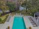 Aerial view of the community pool surrounded by lounge chairs and lush, mature landscaping at 11317 Wickersley Pl, Tampa, FL 33625