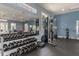 Well-equipped gym featuring various weight machines, free weights, and mirrors at 11317 Wickersley Pl, Tampa, FL 33625