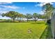 Lush green backyard overlooking a beautiful golf course on a sunny day at 2049 Skimmer W Ct # 311, Clearwater, FL 33762