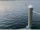 Water view from the pier with calm sea, offering serene scene, and a glimpse of wildlife at 2201 Bay Club Cir, Tampa, FL 33607