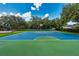Outdoor basketball court providing recreational space for residents, surrounded by lush greenery and trees at 27652 Sky Lake Cir, Wesley Chapel, FL 33544