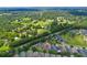 Aerial view of a community with mature trees and a sprawling green landscape at 320 Roxbury Crossing Ct, Valrico, FL 33594