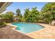 Sparkling backyard pool surrounded by lush tropical foliage and a paved patio with a relaxing seating area at 4915 Stolls Ave, Tampa, FL 33615