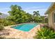 Inviting backyard with a pristine pool surrounded by lush, mature landscaping at 4915 Stolls Ave, Tampa, FL 33615