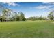Expansive green backyard with lush grass, offering plenty of space for recreation and outdoor activities at 5422 Braddock Dr, Zephyrhills, FL 33541