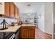 Well-lit kitchen sink area with wooden cabinets, natural light, and plant accents at 7046 Frascati Loop, Wesley Chapel, FL 33544